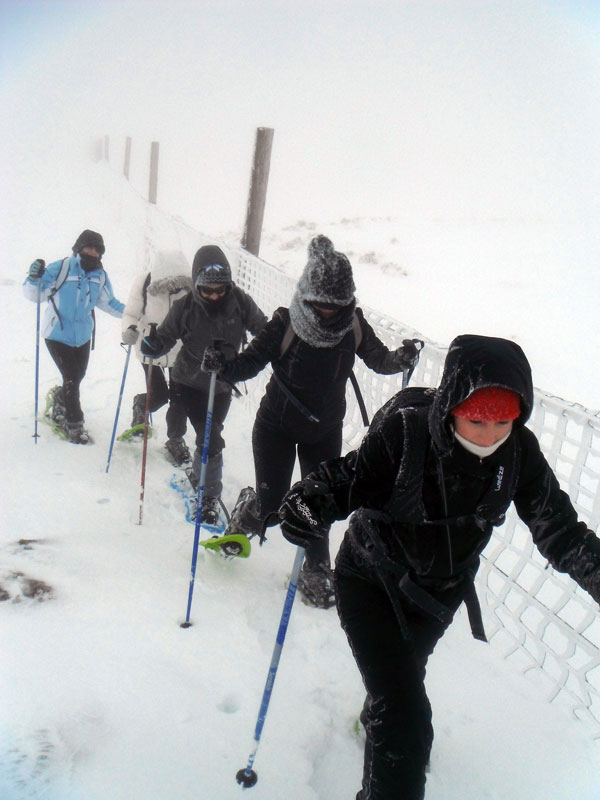 ruta en raqueta de nieve por la sierra de madrid